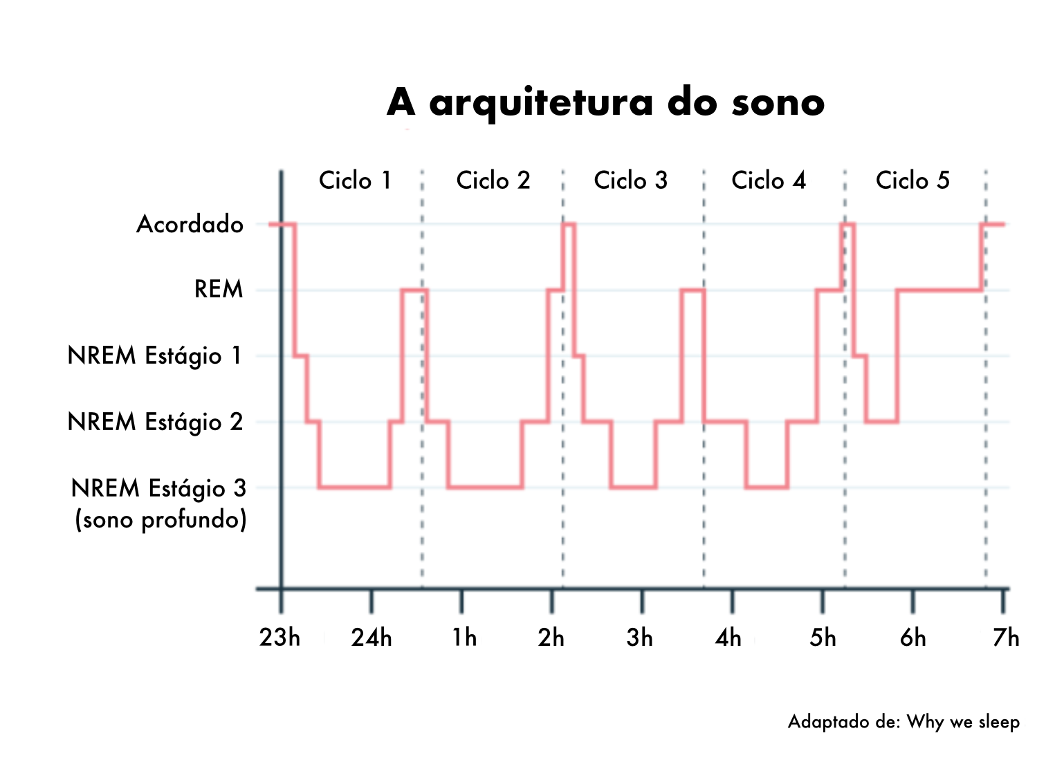 Ciclos do sono