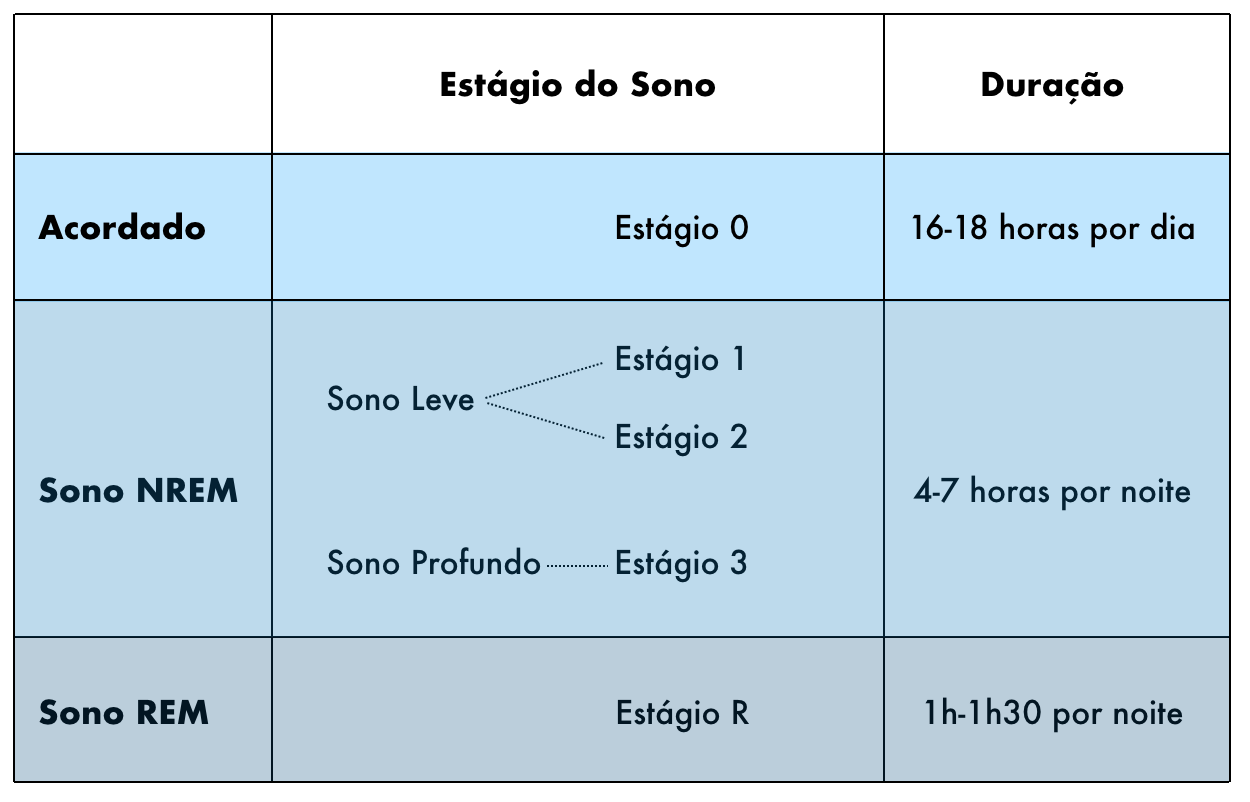 Fases do Sono