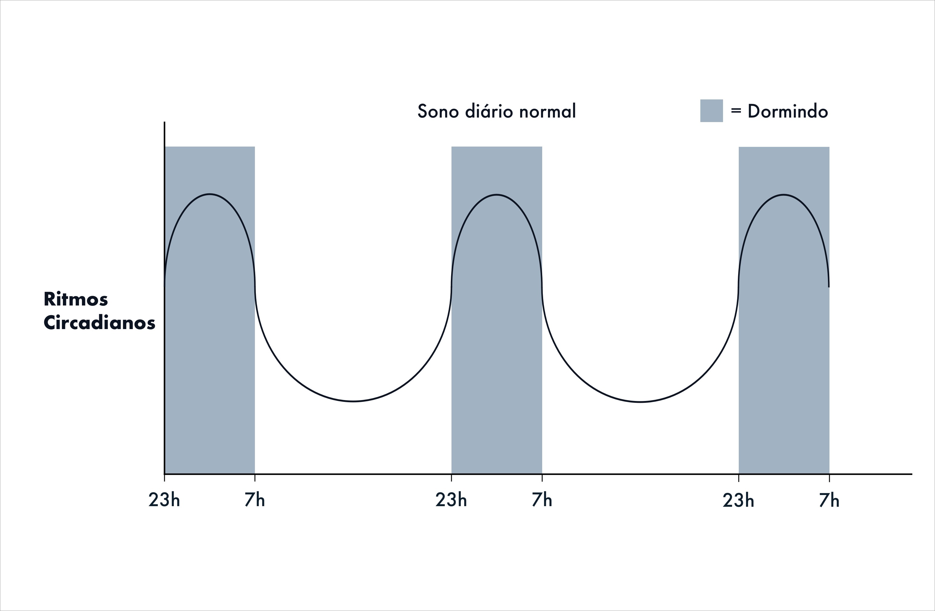 Gráfico mostrando ritmo circadiano ao longo do dia