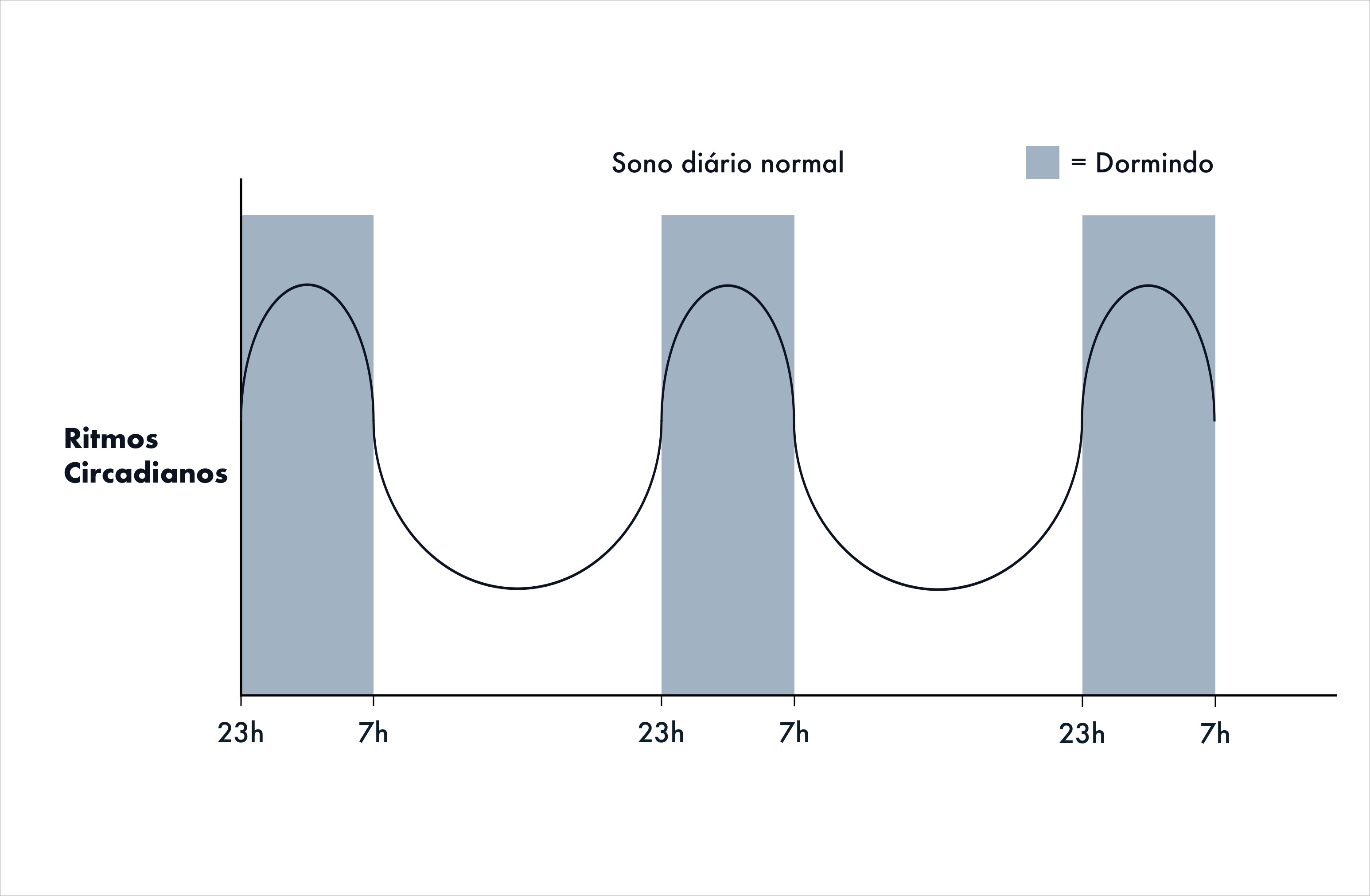 Gráfico mostrando ritmo circadiano ao longo do dia que faz a gente dormir